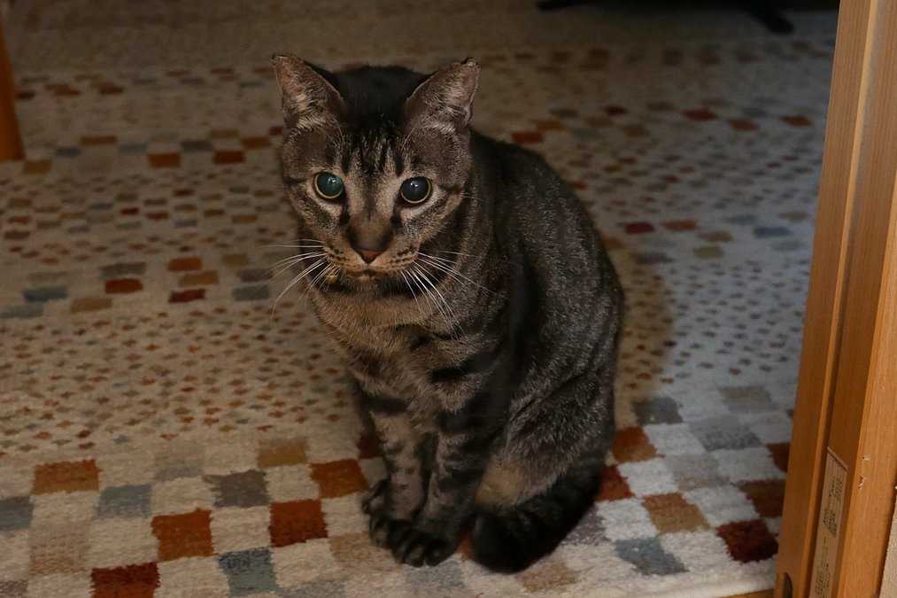 リターン完了のお知らせ