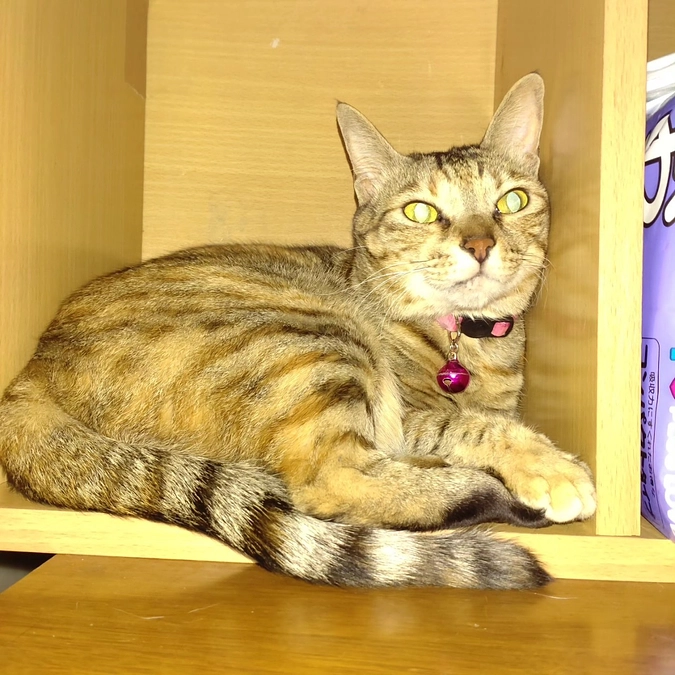 ６歳になりました🎉