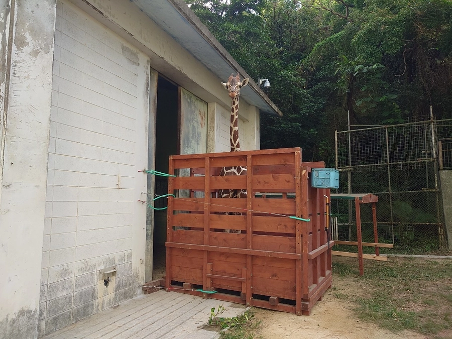 「光」の移動までの記録