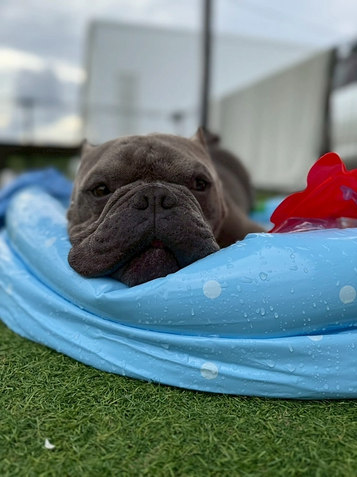 2025.6月活動報告