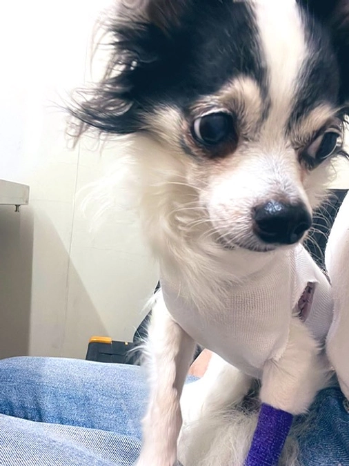 術後初めての対面をしてきました。