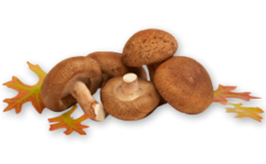 感謝の気持ちをお送りいたします。