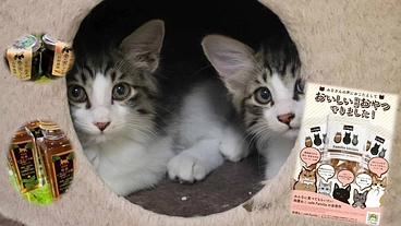 45匹の猫の為！猫用ジャーキーと季節の名産品購入でご支援ください。 のトップ画像