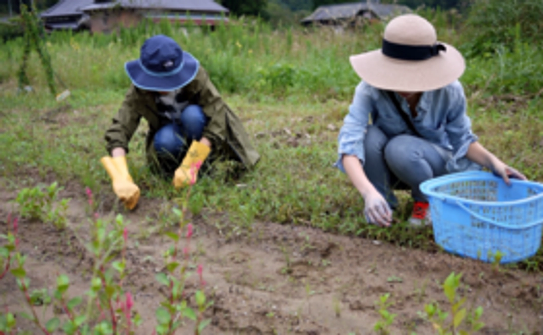 サンクスメール