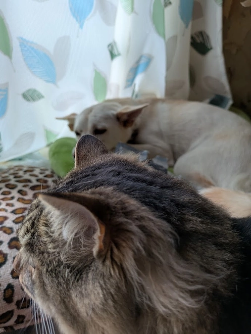 本日tonnyatawoでお買い求め頂きました寄り添い貯金を支援させて頂きました。