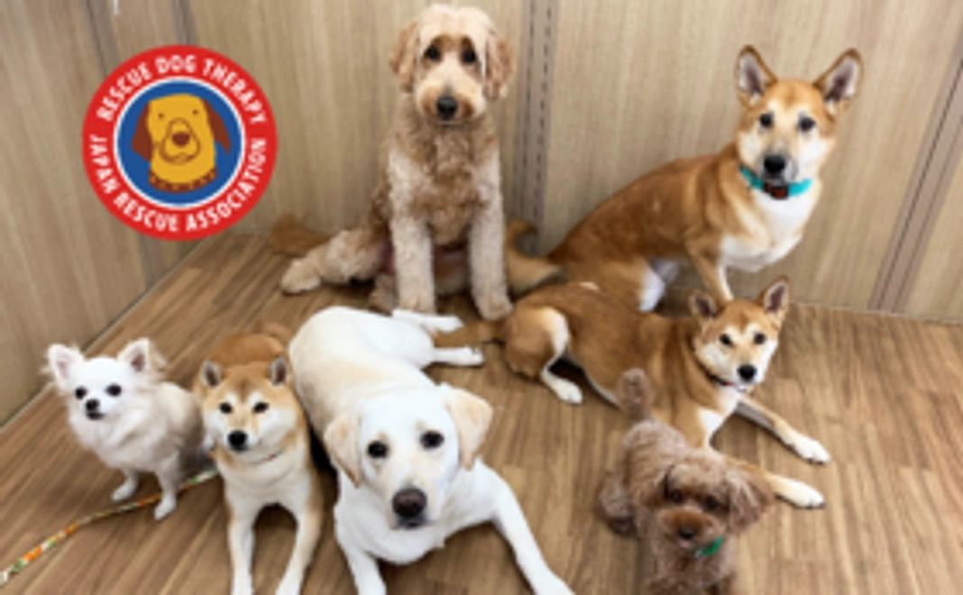 10,000円：応援コース