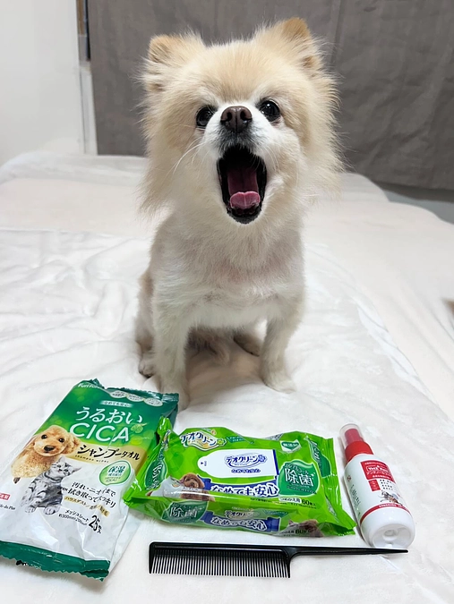 59/59 ☆ いよいよ