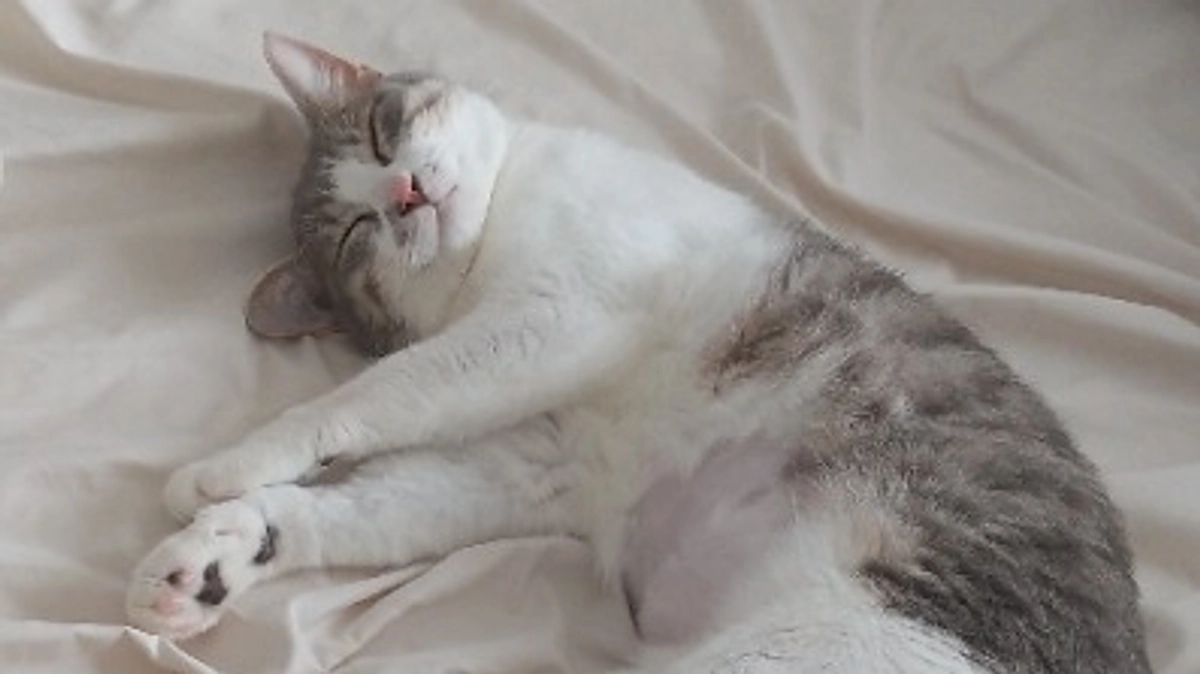 一読お願いします