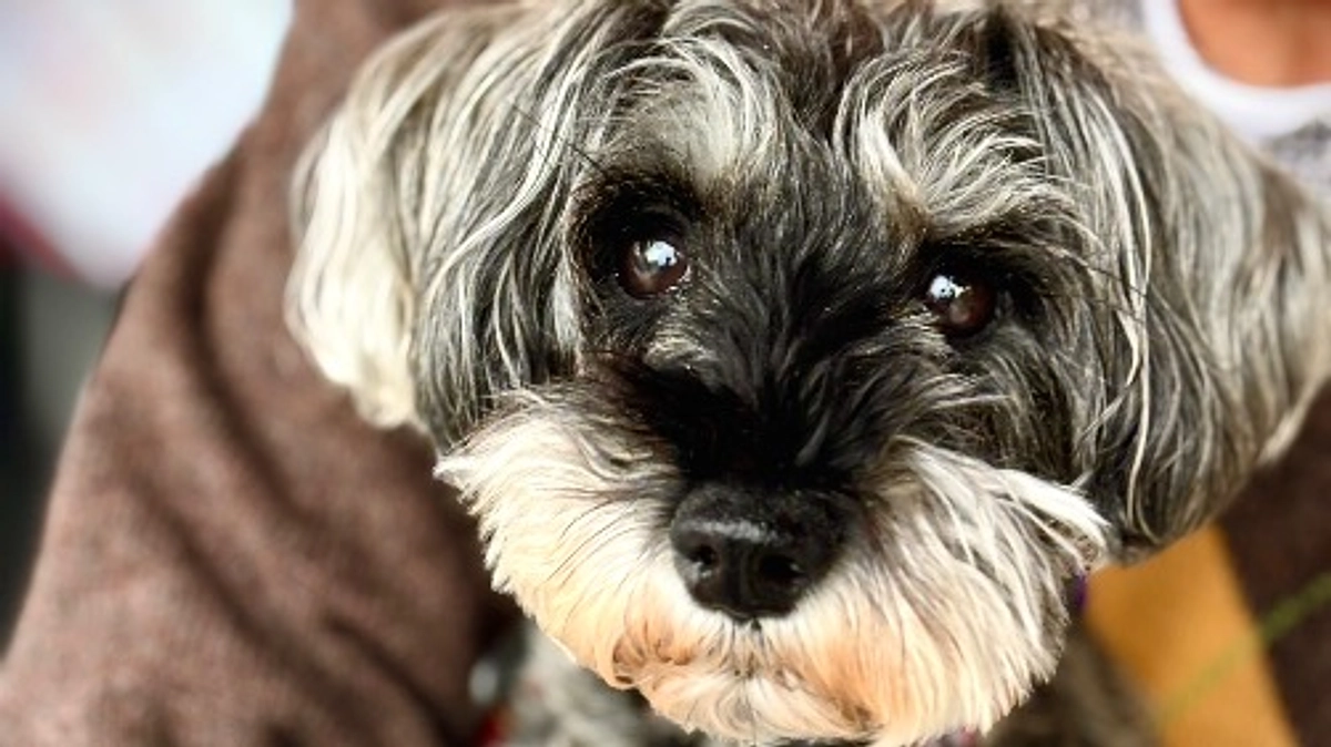 ゴール達成のご報告です。