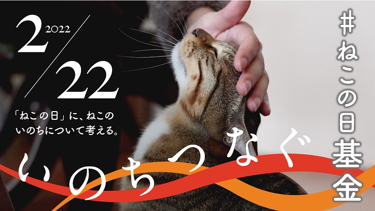 保護ねこが家族と幸せに暮らせますように｜いのちつなぐ#ねこの日基金