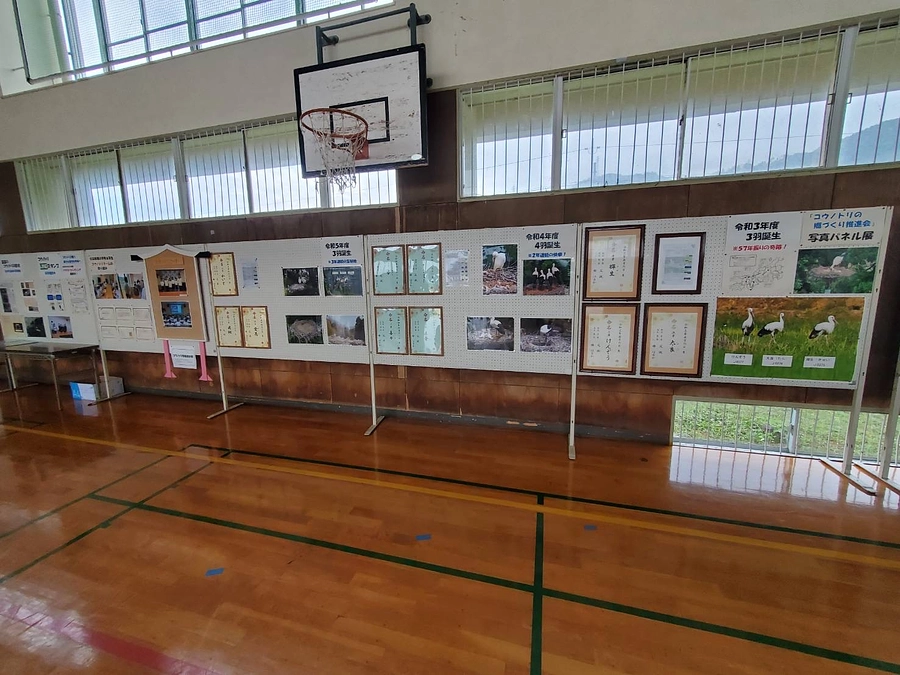 10/1（日）旧国富小学校で国富フェスタが開催され、これまでのコウノトリの歴史が紹介されました。