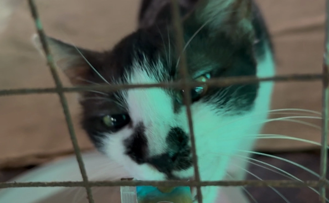 お気持ち支援1000円