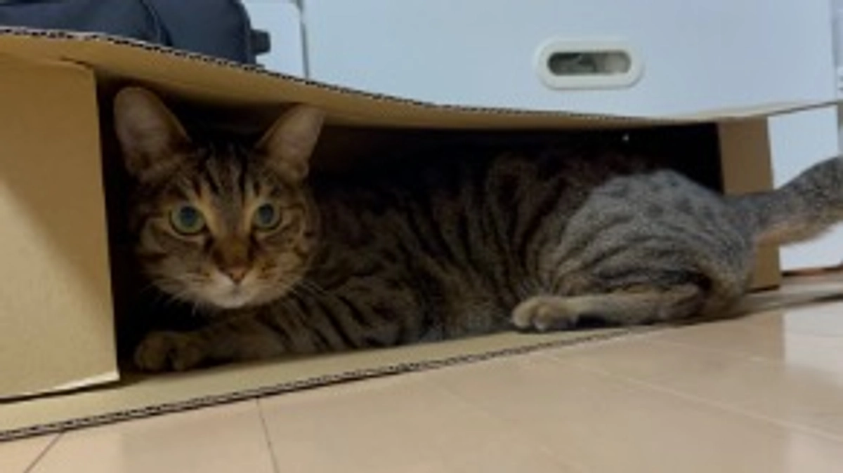 【今日のなっちゃん】5月19日