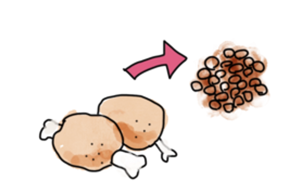 活動報告をお送りします②
