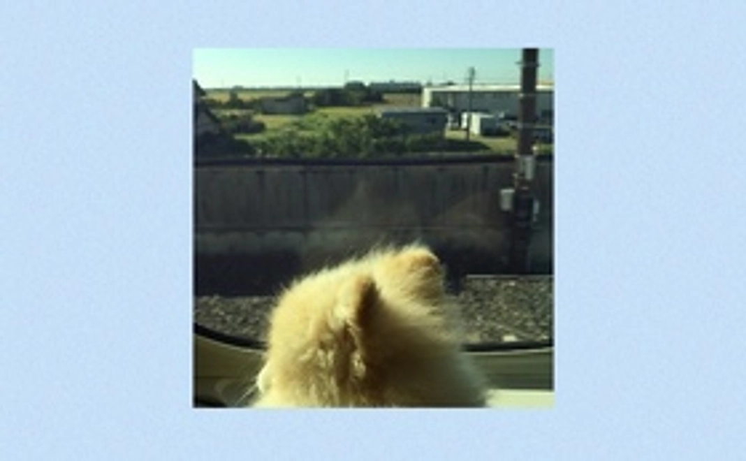 ろん応援コース2 (リターン不要の方)