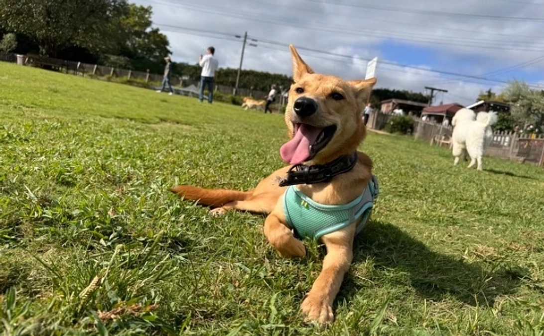 リターンのご紹介！〜レセプション招待〜