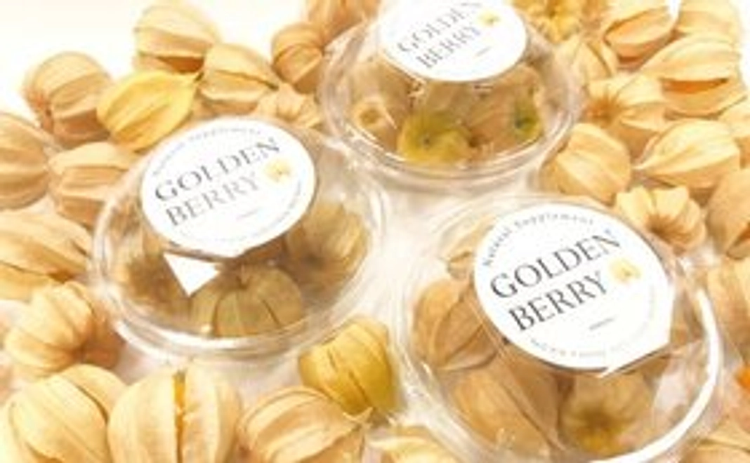ゴールデンベリー　25gパック16個