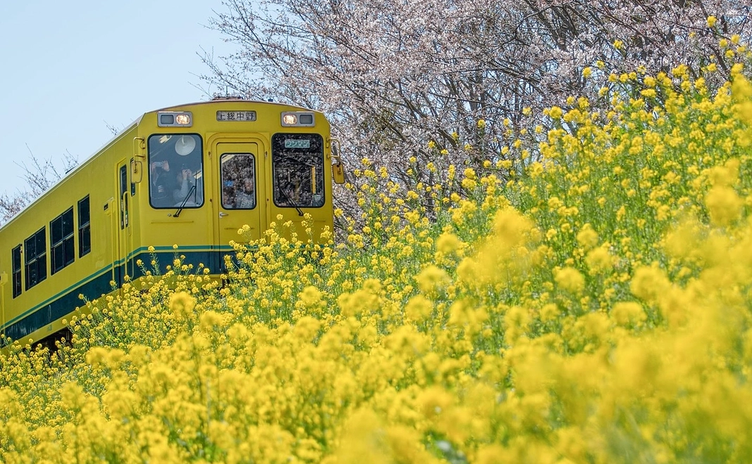 寄付｜いラセン奨学金を純粋応援!!