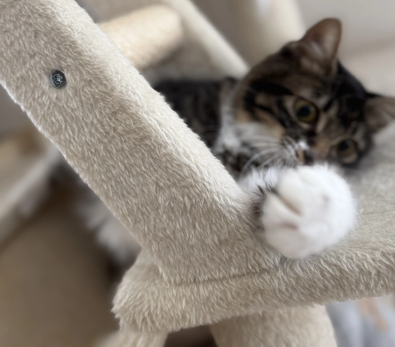 10月18日、投薬25日目💊