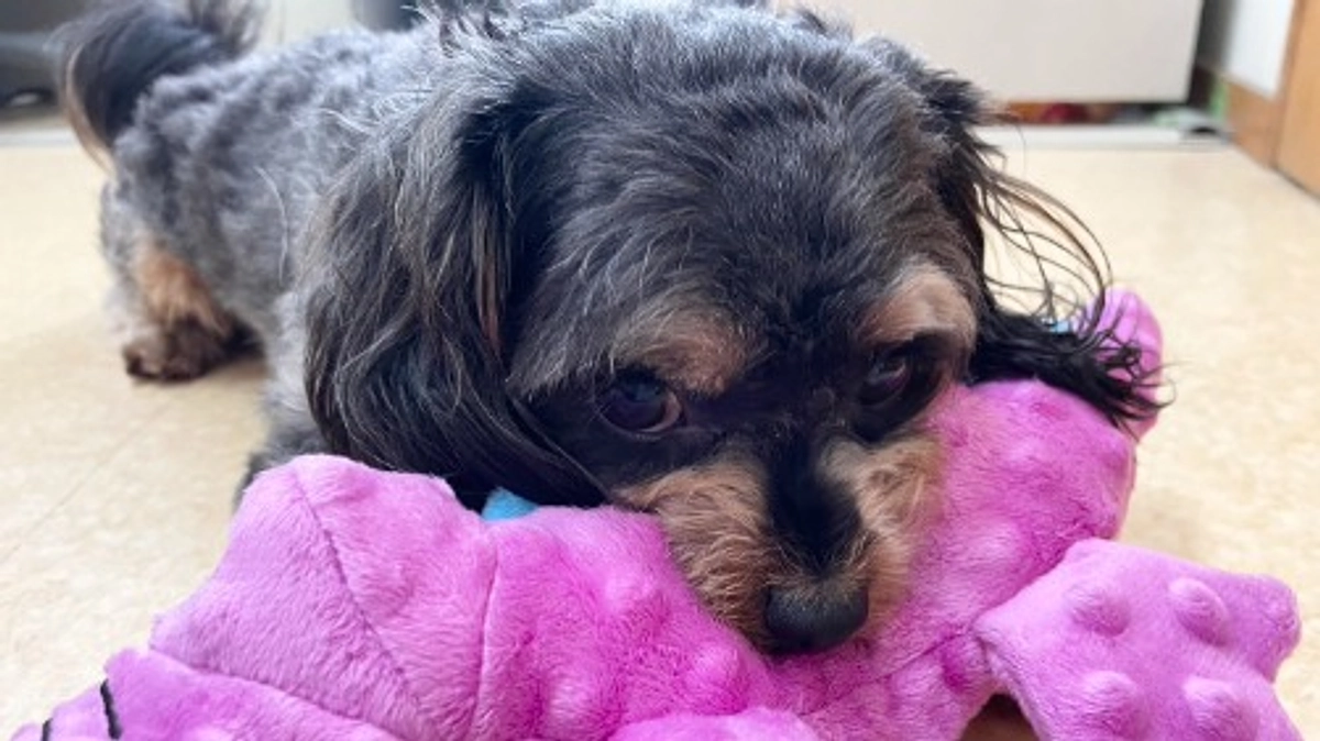 優音（うた）４歳のお誕生日を迎えました！