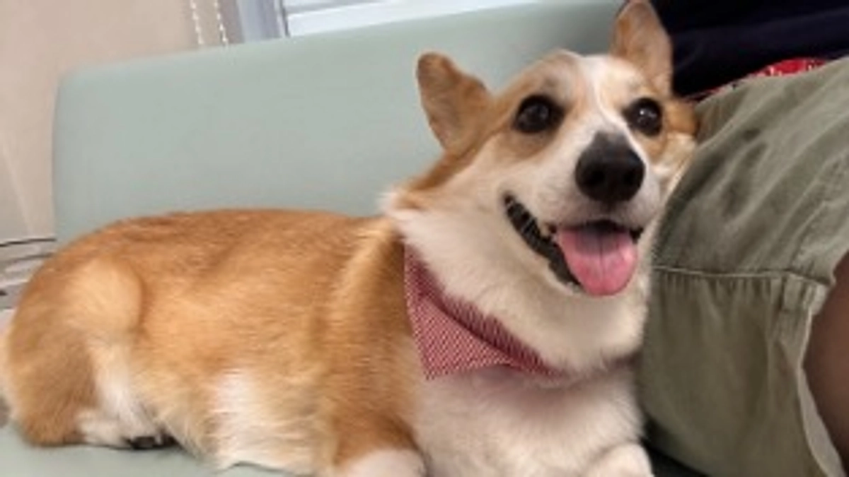 代理支援について