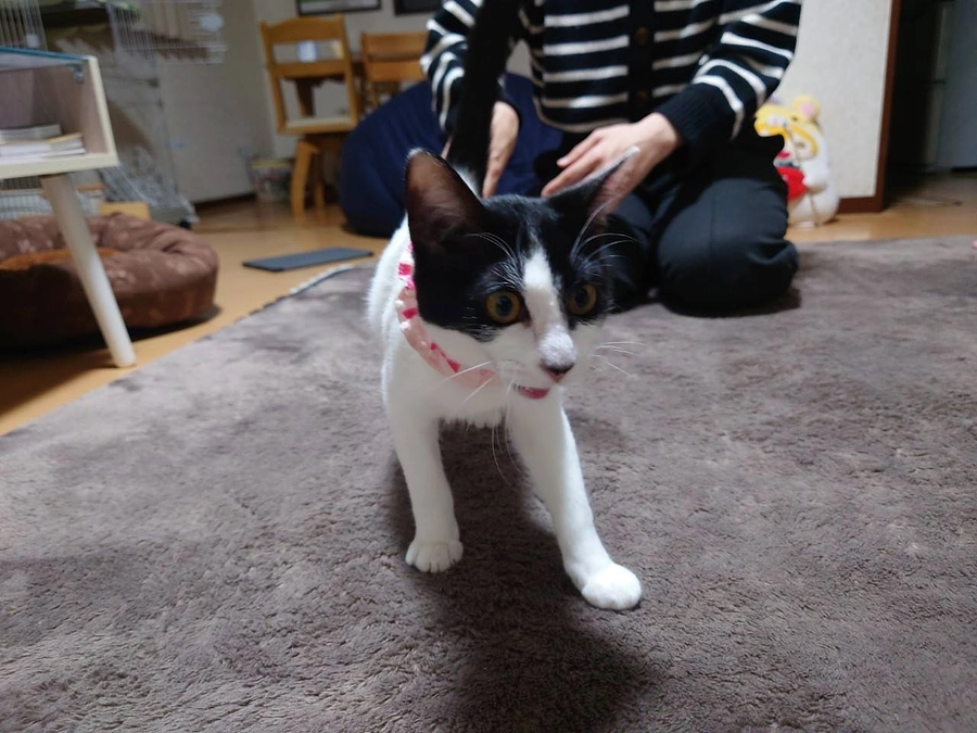 ２月８日はおしるこのお届けでした♪