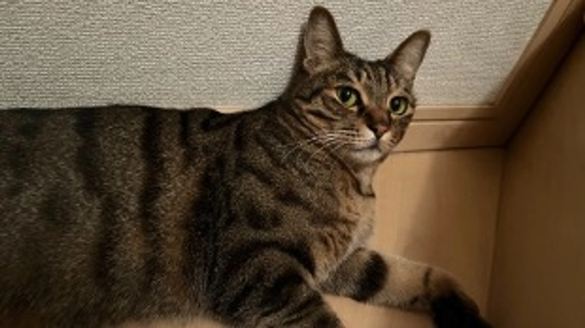 【今日のなっちゃん】6月2日