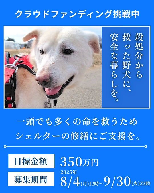 2025クラウドファンディング、スタートしました！