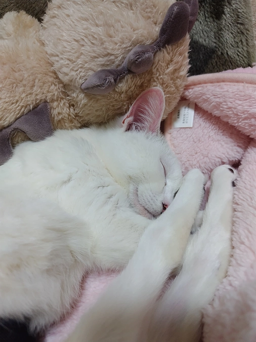 いよいよ最終日！