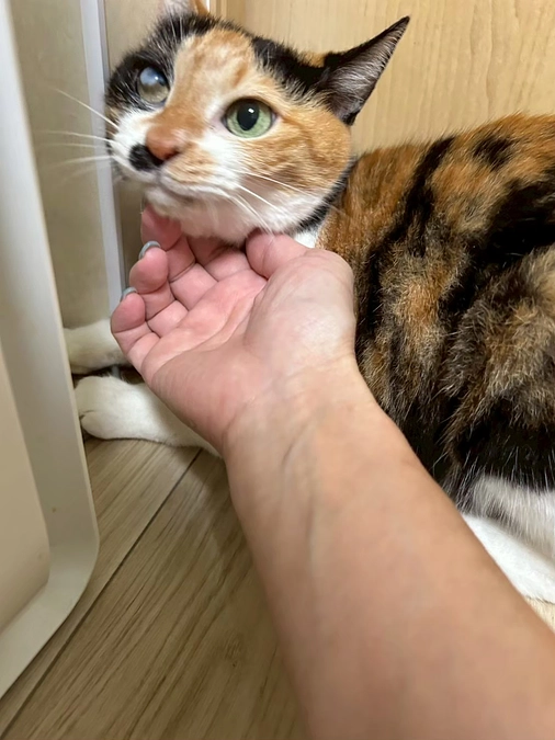 孤独死現場から救われた命と、日々続く医療ケア　（８月のエピソード）