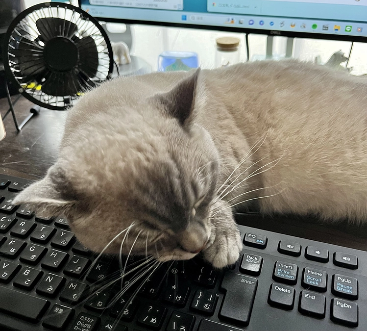 クラウドファンディングも残り2日になりました。ここ数日暑い日が続いています。