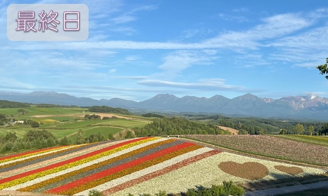【本日最終日】たくさんのご寄付・ご協力を頂きましてどうもありがとうございます
