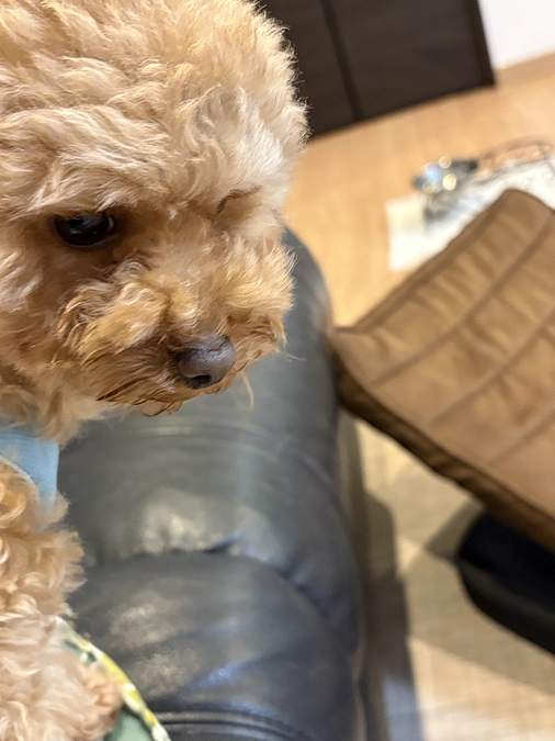 １１月３日のゆむ君