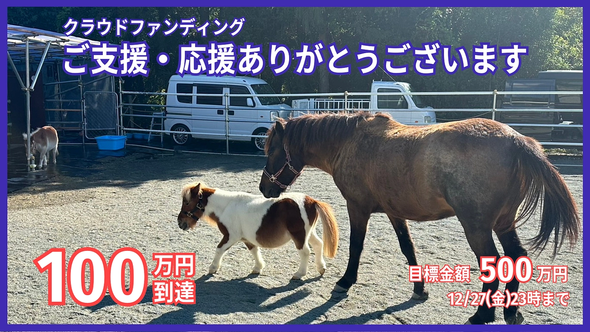 【100万円突破】ご支援、ご賛同ご協力くださる皆様と一緒に牧場を完成させる！