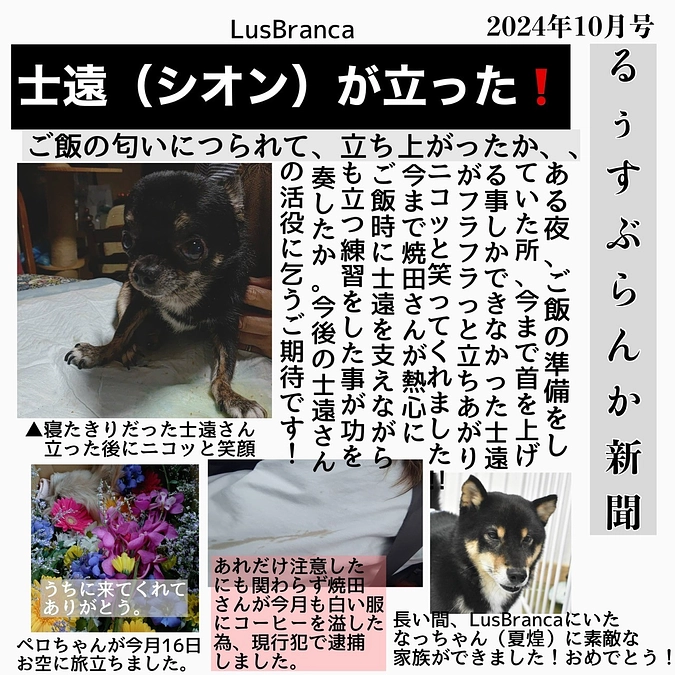 士遠が教えてくれたことは当たり前の大切さと幸せ。日々を過ごす中で「どれだけ濃い時間を過ごすか」