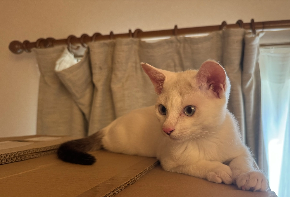 体重増えました！