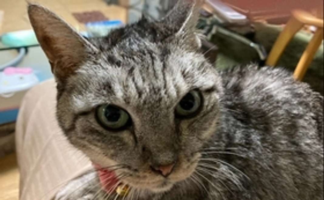 嬉しい。ありがとう。　　　　　　　　　ずっと忘れない。