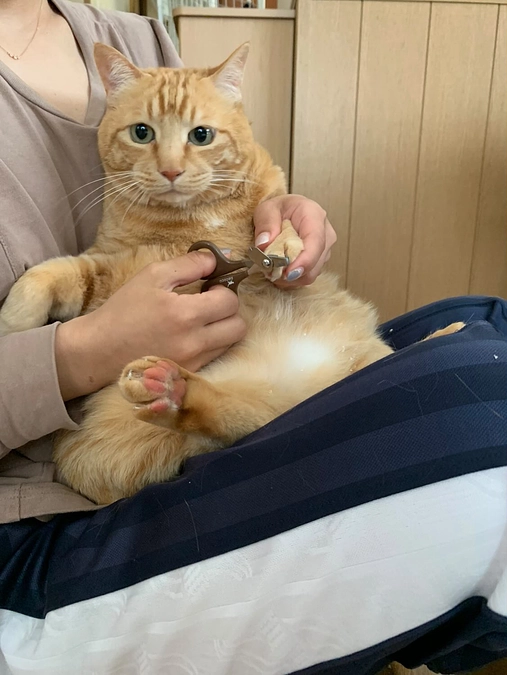 第一目標達成間近あと１０万きりました❣️このタイミングでの応援コメントは励みなります♡