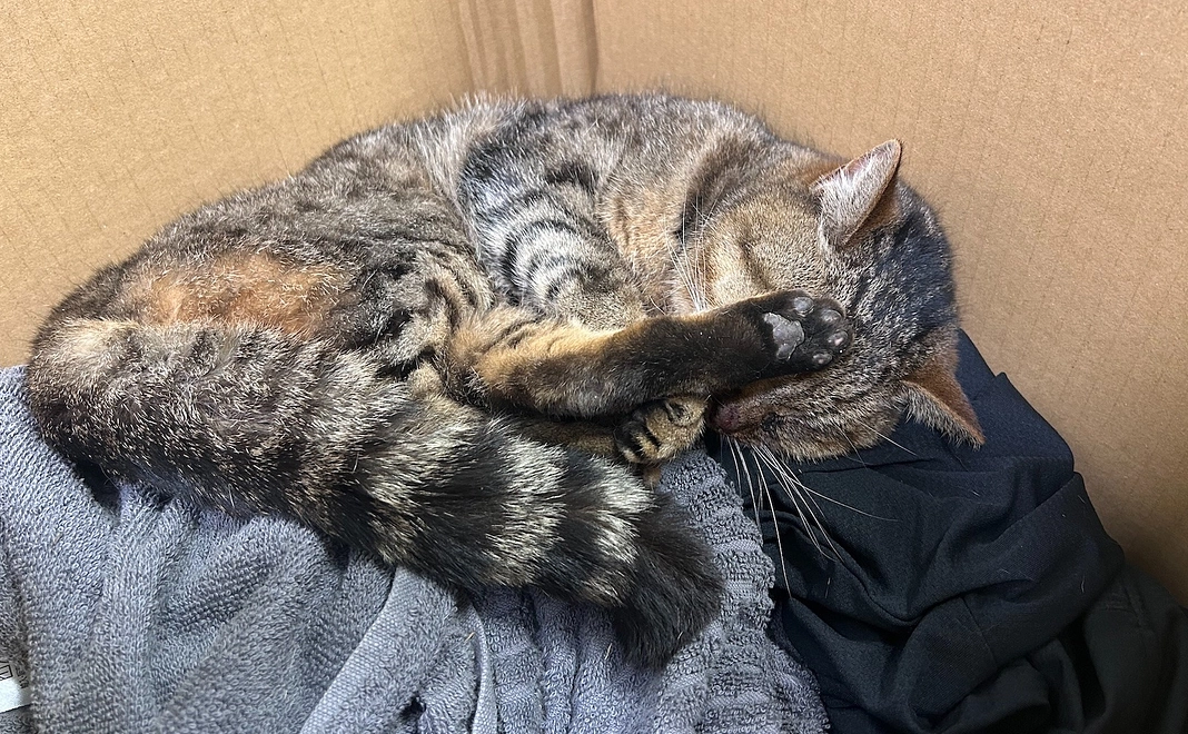 感謝のメールと活動報告2