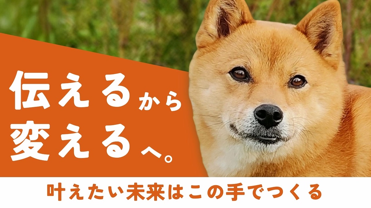 【ついに新プロジェクトスタート】どうか、保護犬問題に終止符を打つためにご支援をお願いいたします！