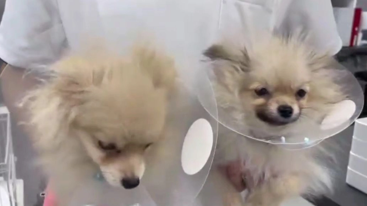 第一目標達成まであと約100万円です！