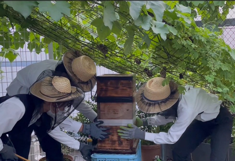 日本工業大学駒場中高　「園芸養蜂部」