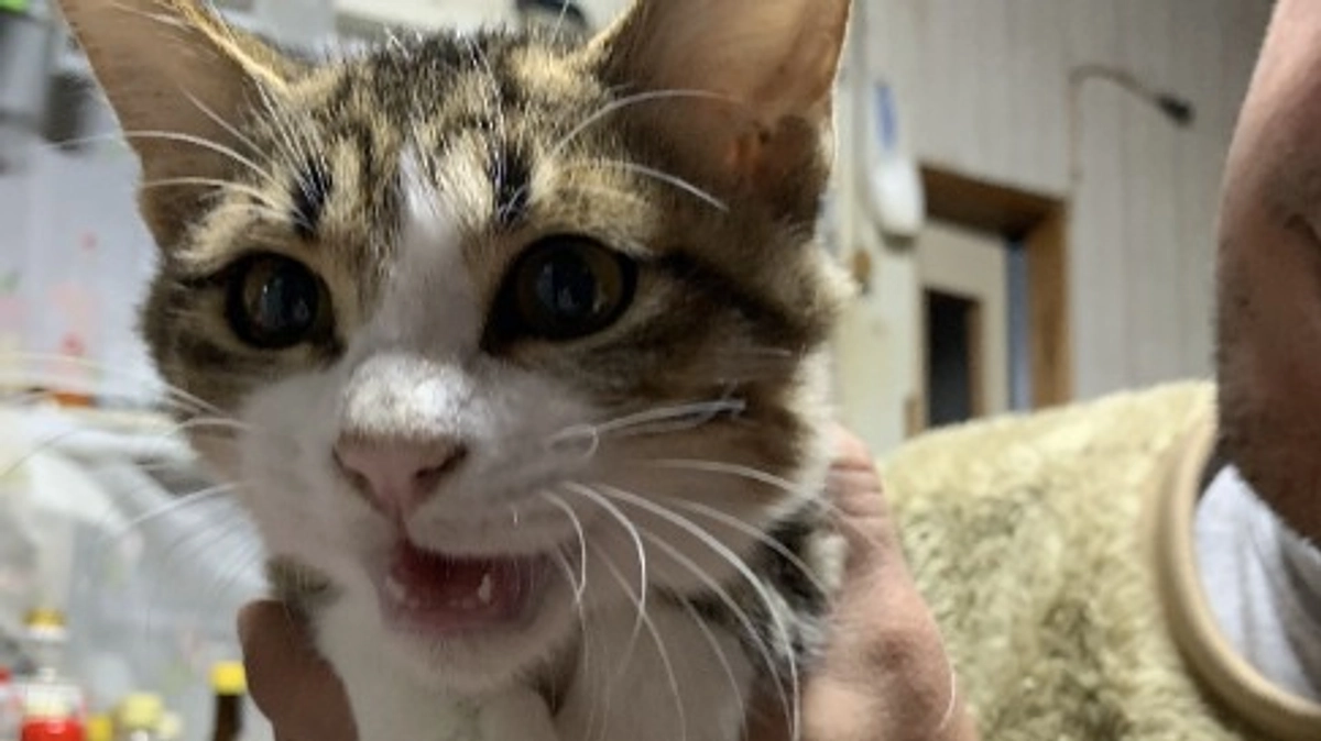 新加入！テキーラちゃん(^^)