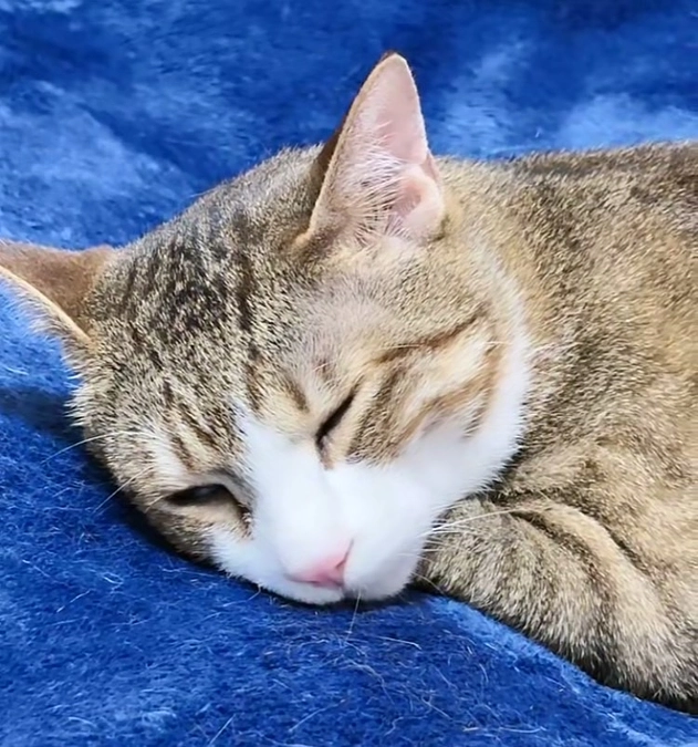 残りあと3日！！