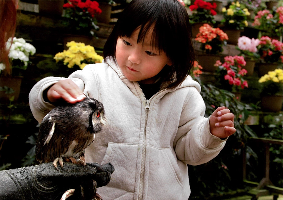 「【第3弾】鳥たち、花たち、お客様に、心も身体も温まる空間を。」本日スタートしました！