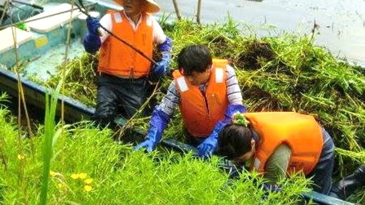 琵琶湖の赤野井湾を守ろう!オオバナミズキンバイ除去大作戦!