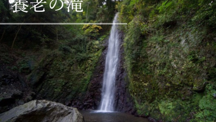 地域に愛を！養老の古き良き夏の風物詩｢仮装盆踊り大会｣を再び！