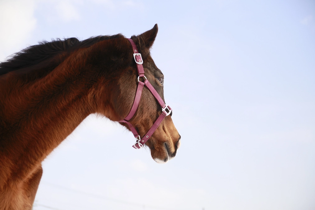 暗渠工事が終了しました。