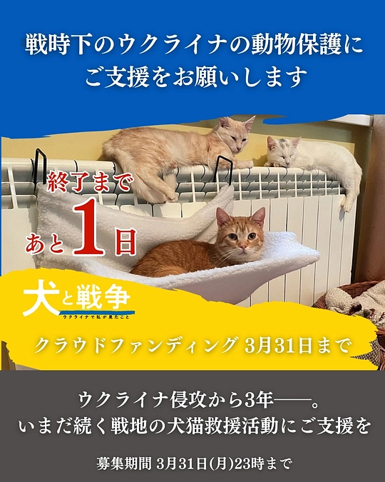 ウクライナの動物たちへのご支援、あと1日になりました。