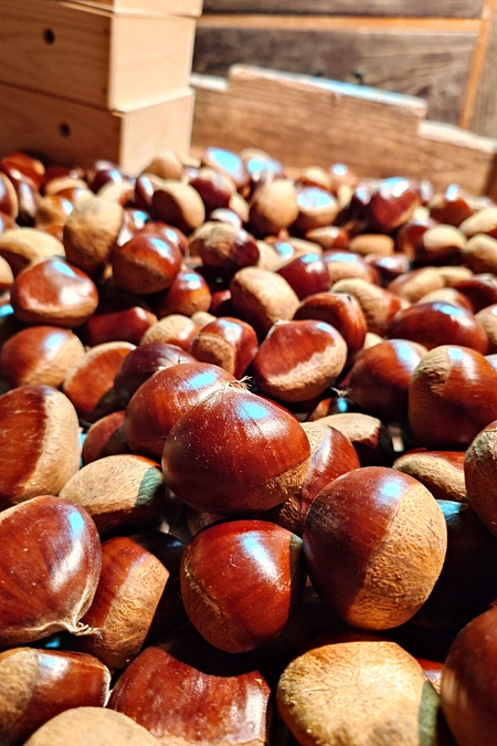 締め切りまで残り18日